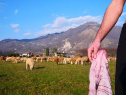 LUXURY FOULARD Collection GRACE_2020 di Mario Costantino Triolo